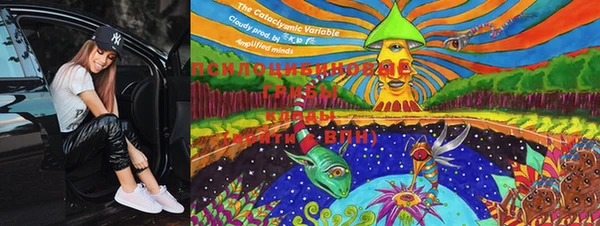 PSILOCYBIN Дмитриев