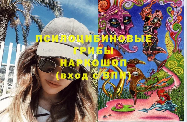 PSILOCYBIN Дмитриев