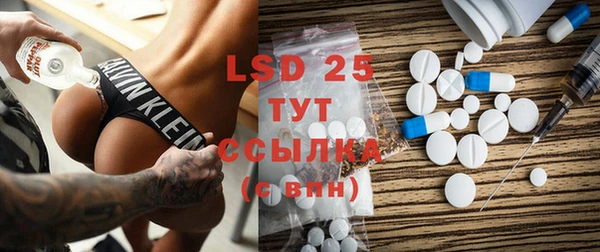PSILOCYBIN Дмитриев