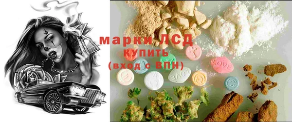 PSILOCYBIN Дмитриев