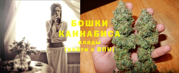PSILOCYBIN Дмитриев