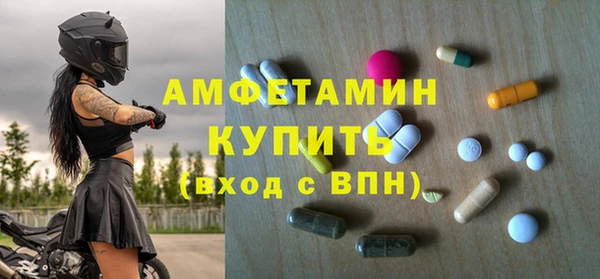 PSILOCYBIN Дмитриев